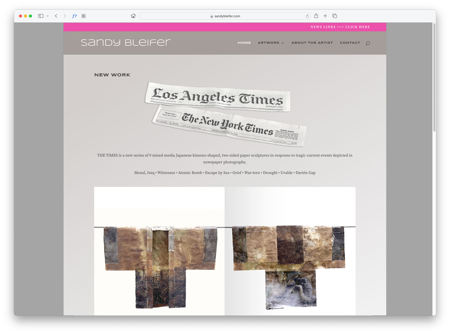 SandyBleifer-home-page-1500_10-2025